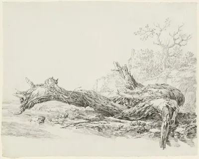 An Ancient Tree Fallen Beside A Stream