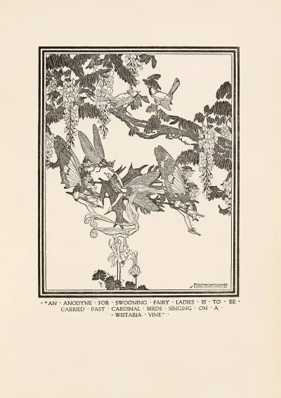 An Anodyne For Swooning Fairy Ladies Is To Be Carried