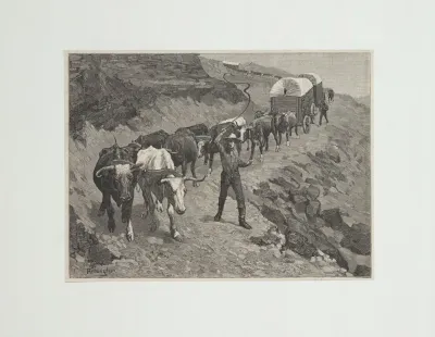 An Ox Train In The Mountains