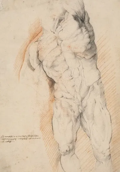 Anatomical Study Ecorche Front View Of Standing Flayed Man His Left Arm Raised