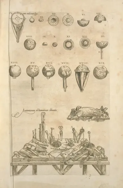 Anatomicorum Instrumentorum Delineatio Various Medical Apparatuses