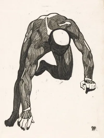 Anatomische Studie Van De Hals Arm En Beenspieren Van Een Man
