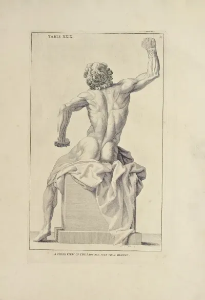 Anatomy Improvd And Illustrated With Regard To The Uses Thereof In Designing Pl 29