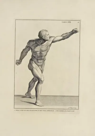 Anatomy Improvd And Illustrated With Regard To The Uses Thereof In Designing Pl 30