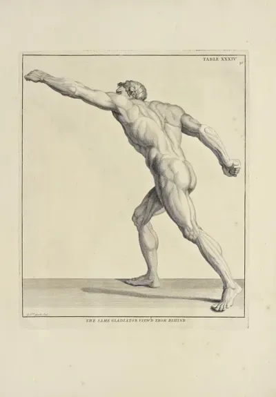 Anatomy Improvd And Illustrated With Regard To The Uses Thereof In Designing Pl 34
