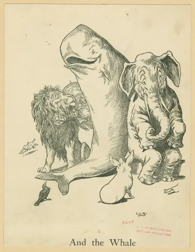 And The Whale