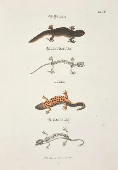 Angenehmer Und Nutzlicher Zeit Vertreib Pl 055