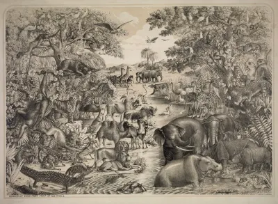 Animals For Noahs Ark