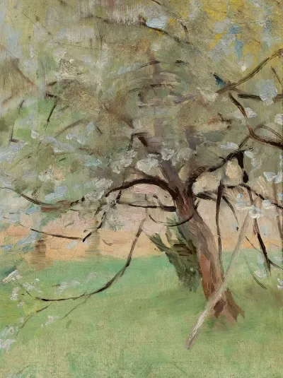 Apple Tree