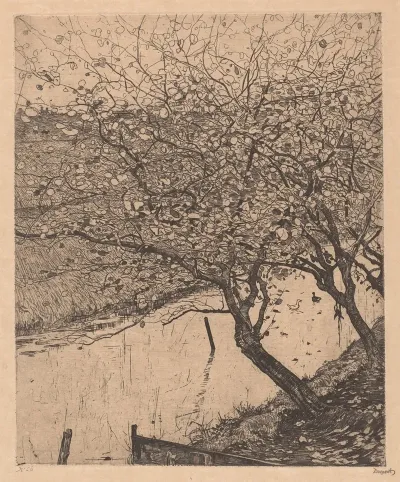 Apple Trees Along The Side Of A Ditch