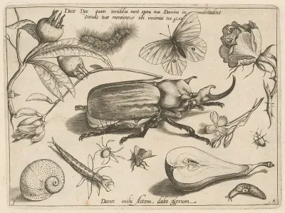 Archetypa Studiaque Patris Georgii Hoefnagelii Pl 01