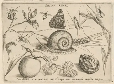 Archetypa Studiaque Patris Georgii Hoefnagelii Pl 05