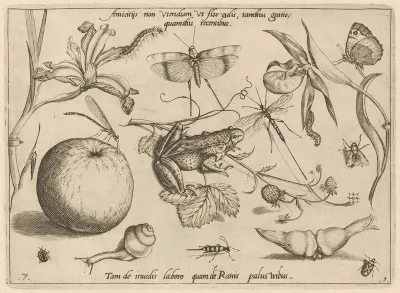 Archetypa Studiaque Patris Georgii Hoefnagelii Pl 09