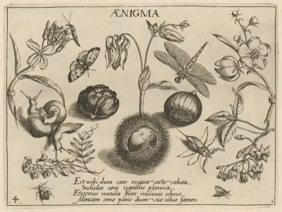 Archetypa Studiaque Patris Georgii Hoefnagelii Pl 32