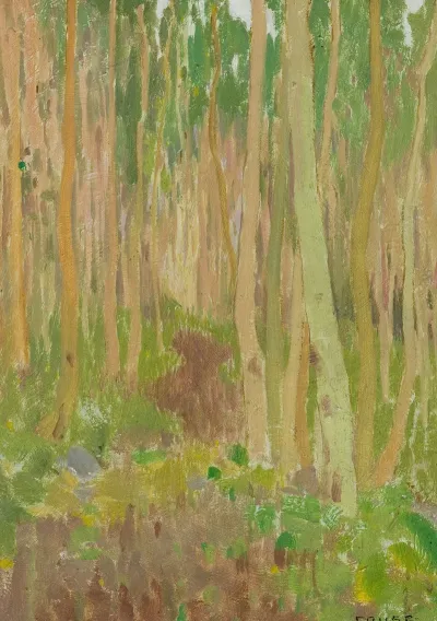 Aspen Symphony