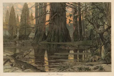 At The Lower Reaches Of The Mississippi