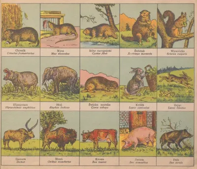 Atlasik Zoologiczny Z Tekstem Polsko Lacinskim Do Uzytku Szkolnego Pl 03