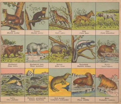 Atlasik Zoologiczny Z Tekstem Polsko Lacinskim Do Uzytku Szkolnego Pl 04
