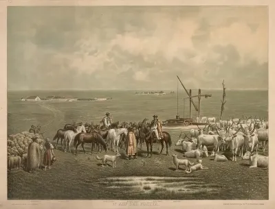 Auf Der Puszta