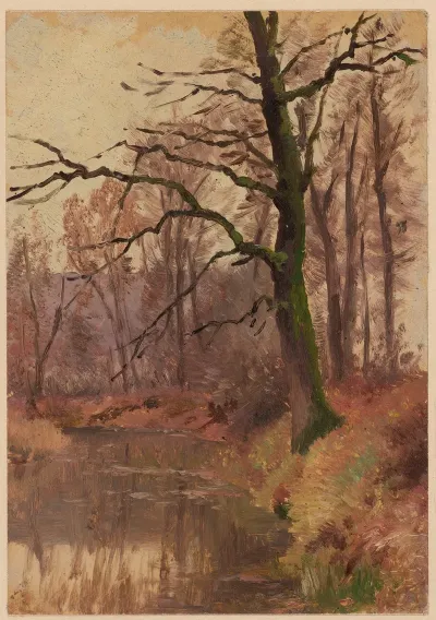 Autumn Trees Near A Pond