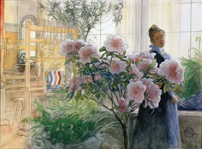 Azalea
