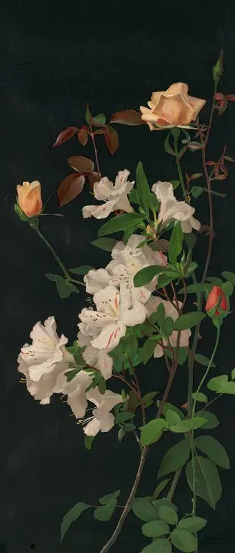 Azaleas And Roses