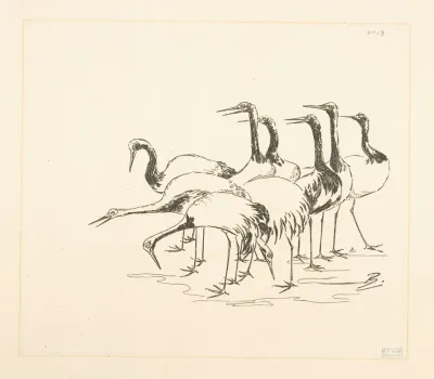 Bande De Grues