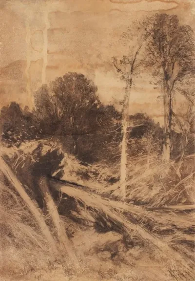 Baumstudie 3