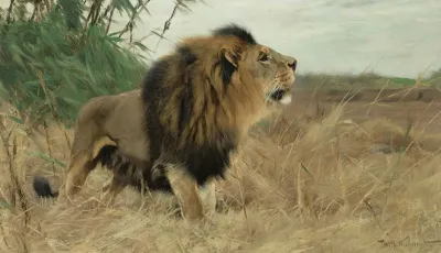 Beberlowe Berber Lion