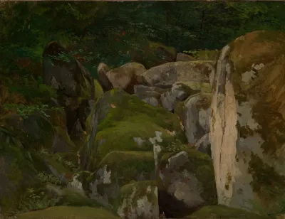 Bemooste Felsen Im Waldtal