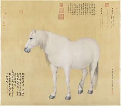Benxiaocong