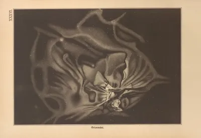 Bilder Atlas Der Sternenwelt Eine Astronomie Fur Jedermann Pl 32