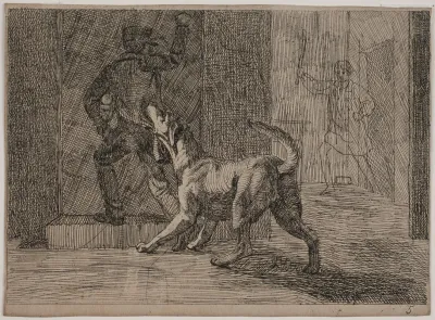 Billede 5