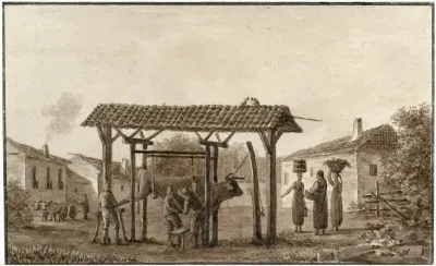Binnenplaats Van Boerderij Met Vastgebonden Os