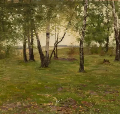 Birch Trees 3