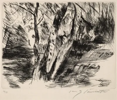 Birch Trees In The Tiergarten