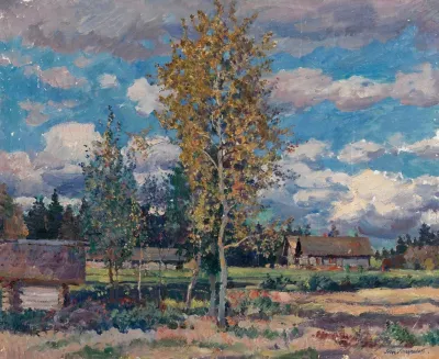 Birch Trees Sunny Day