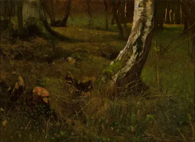 Birch Trunk