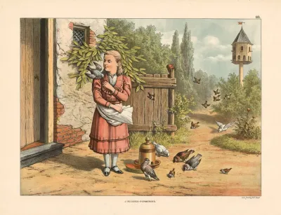 Bird Feeding 2