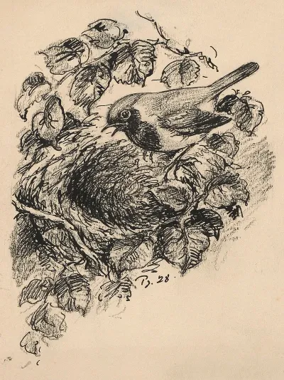 Bird In A Birds Nest