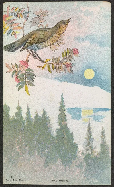 Bird Motif