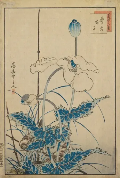 Bird Over Poppies