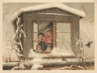 Birds By The Window