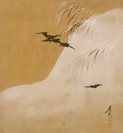 Birds In Snow
