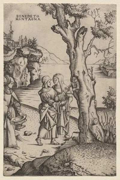 Birth Of Adonis