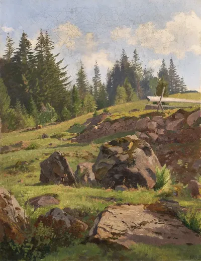 Black Forest Landscape 3