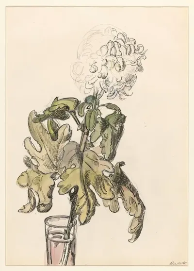 Bloeiende Chrysant In Een Vaasje