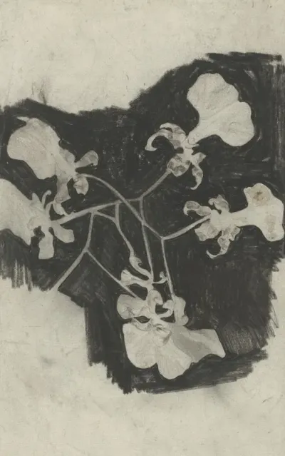 Bloemstudie 4