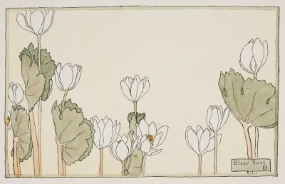 Blood Root