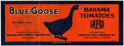 Blue Goose Bahama Tomatoes Label